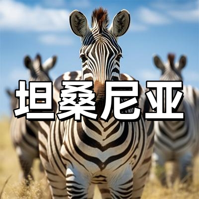 坦桑尼亚签证-全...